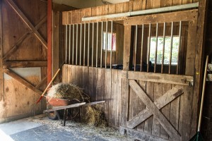 equestrian stalls in Madison CT
